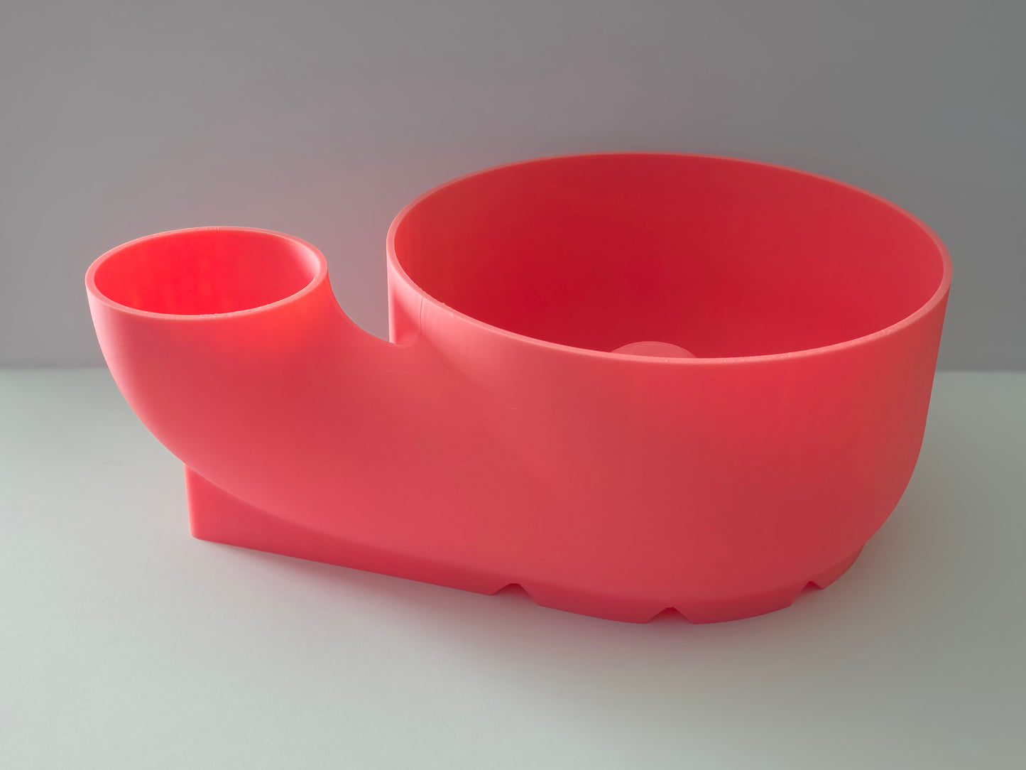 Fruit Cleaner Bowl
