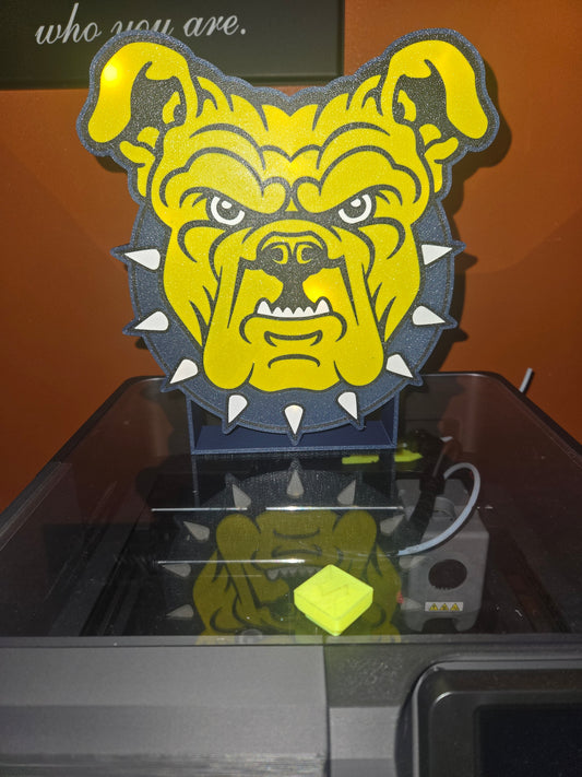 NC A&T SU 3D Light Box